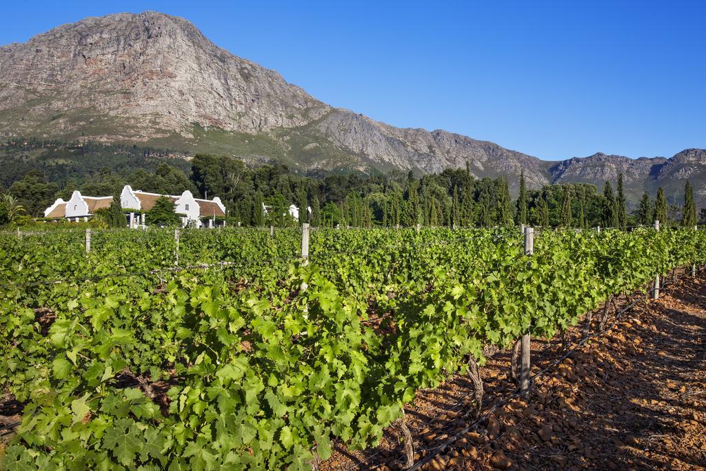 Hotel La Providence Franschhoek Exterior foto